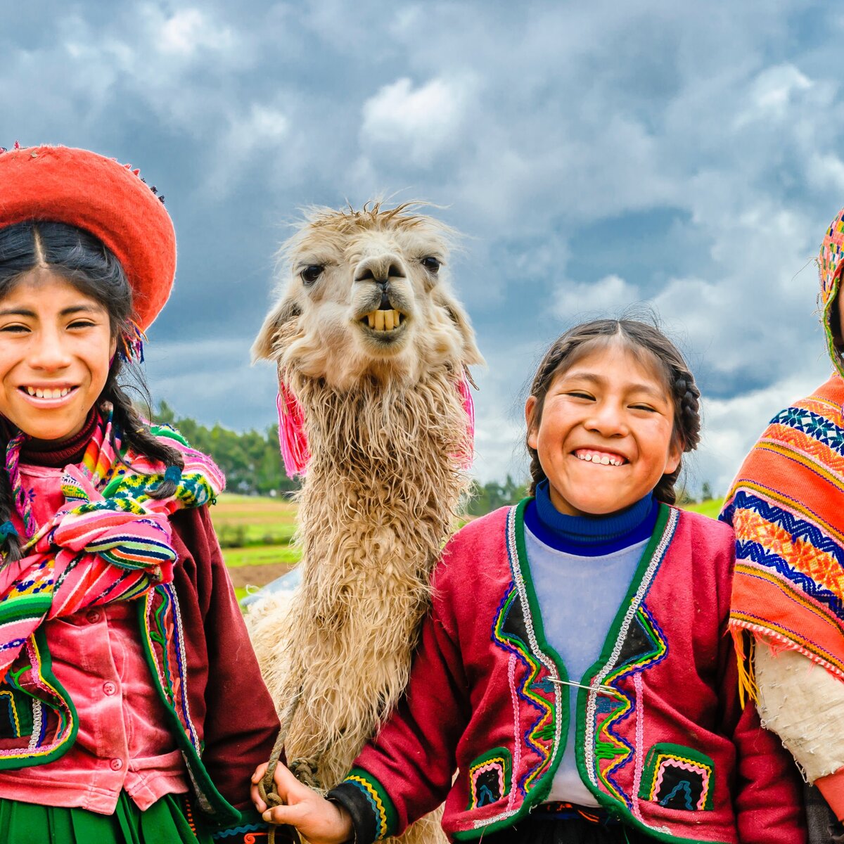 Group of children with Llama